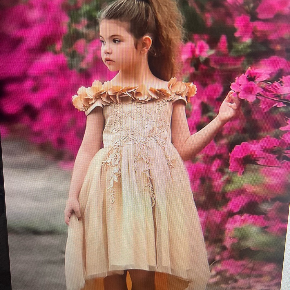 Trish Scully Belle Gown